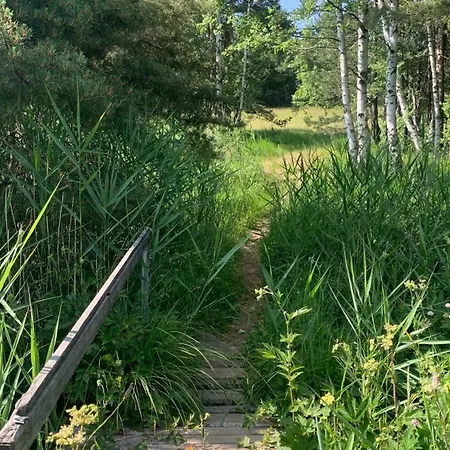 Veverko * Divčibare