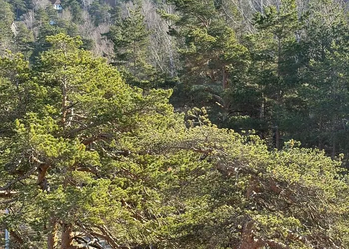 Appartement Veverko Divčibare